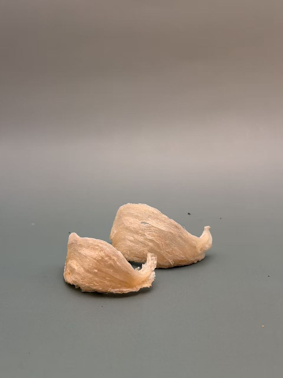 金丝白燕（小盏）