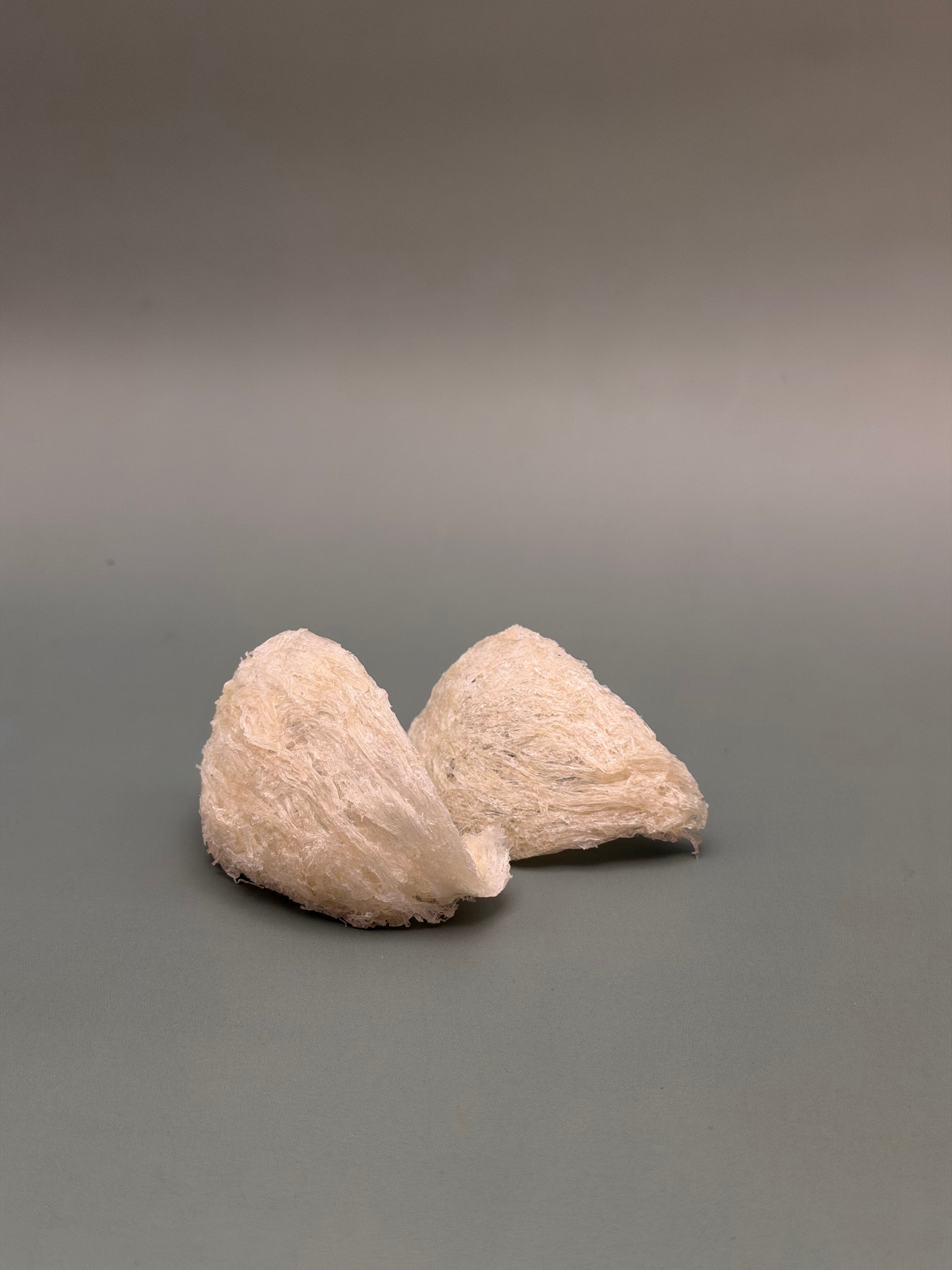 金丝白燕（中盏）