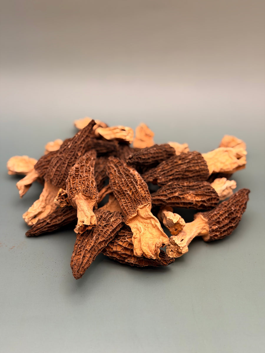 特选顶级大号羊肚菌