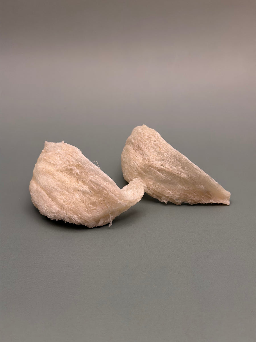 金丝白燕（大盏）